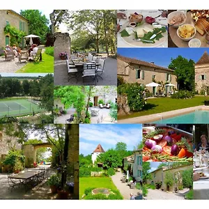 https://villa-mas.midi-pyreneeshotels.com
